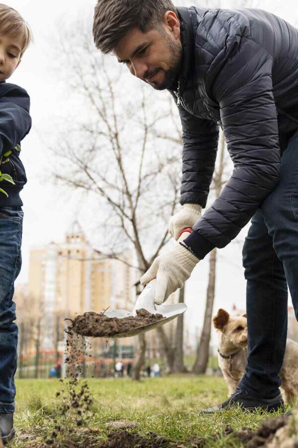 Project: Planting 300 trees in the city